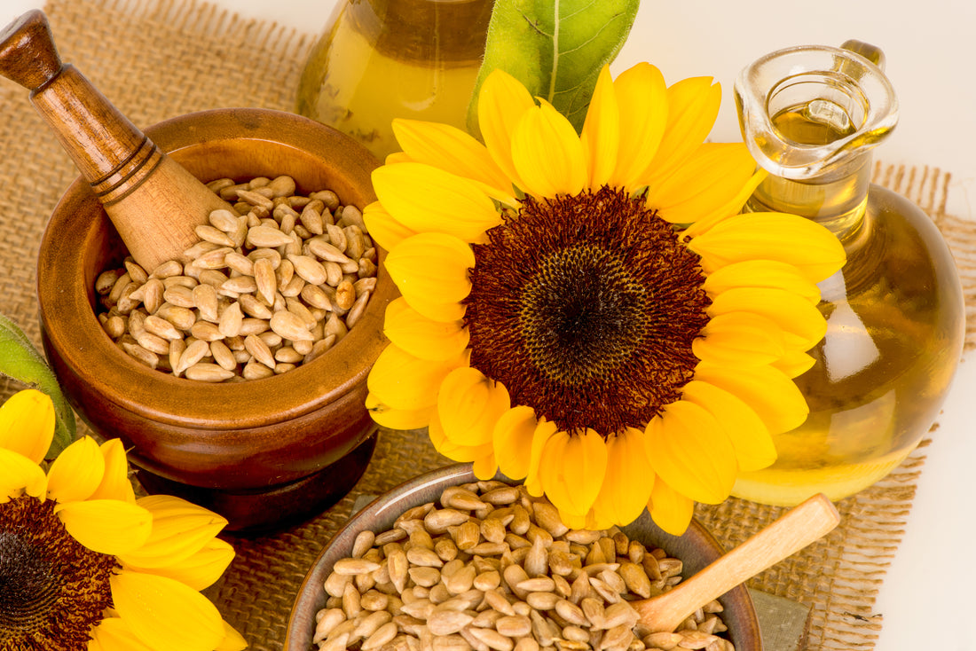 Benefits of Sunflower Seed Oil for your Skin