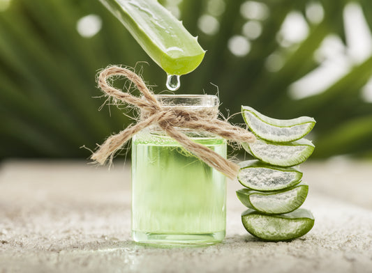 Benefits of Aloe Vera for your Hair and Skin